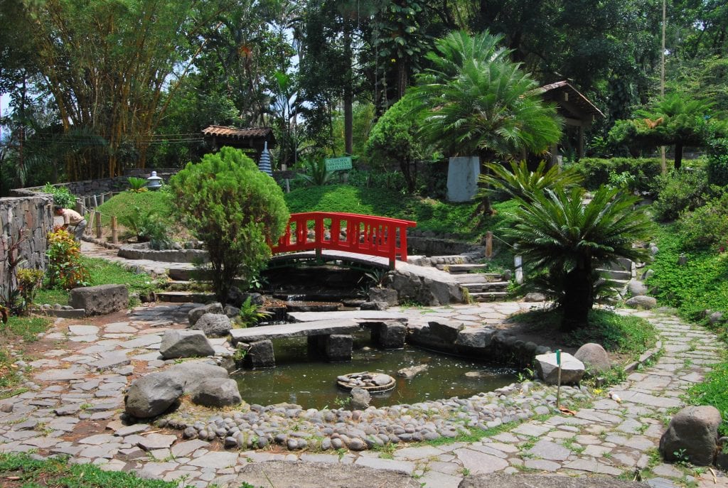 Jardín japonés: elementos, tipos y plantas adecuadas