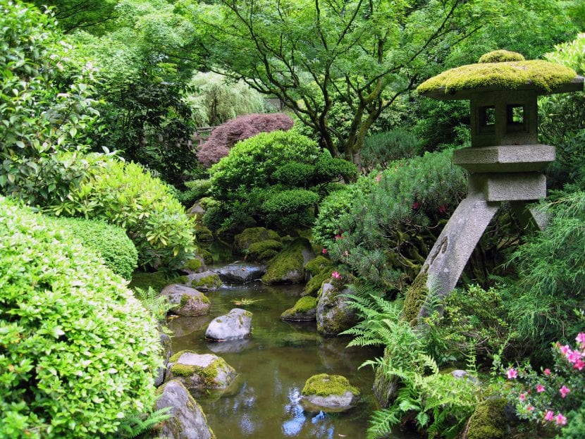 Jardín japonés con estanque, rocas y vegetación podada