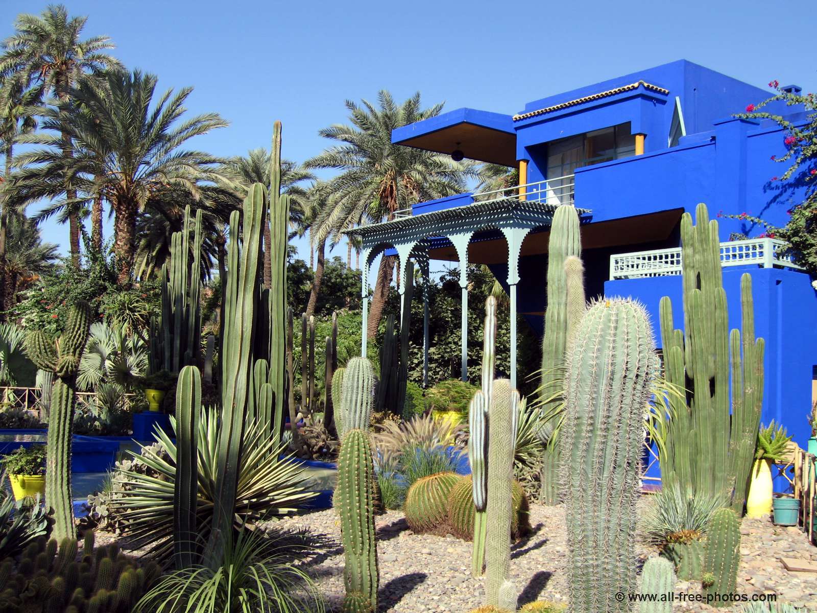 Jardín Majorelle: plantas, azul cobalto y visita