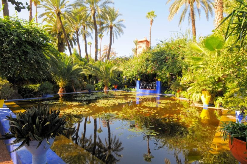 Vista general del Jardín Majorelle en Marrakech