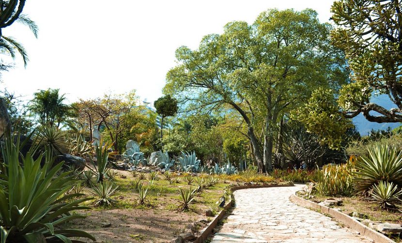 Jardín xerófilo con gravas, gramíneas y arbustos mediterráneos