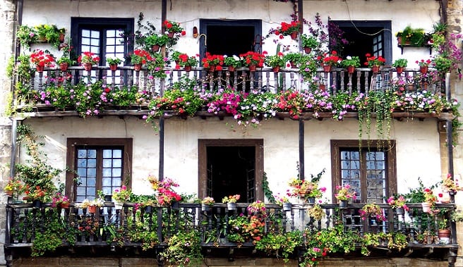 Balcón con macetas y jardineras en flor