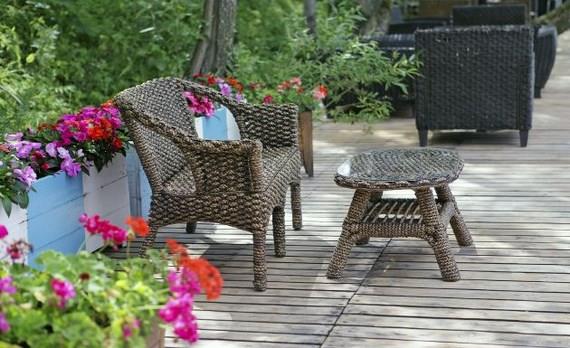 Plantas para terrazas con mucho sol y calor extremo