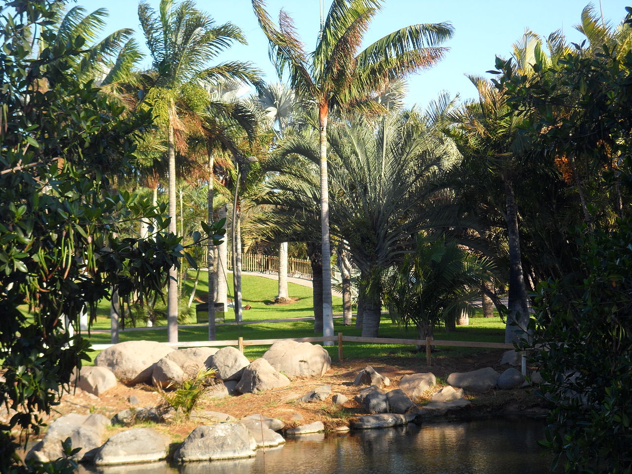 Palmetum de Tenerife: la mayor colección de palmeras de Europa
