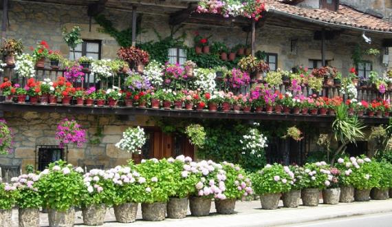 Conjunto de macetas con plantas en una terraza