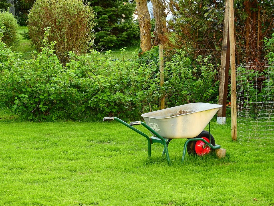 Primer jardín: guía práctica para no fallar el primer año