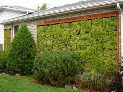 Muro vegetal con plantas dispuestas en módulos