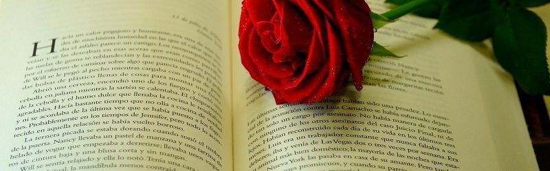 Regalar una Rosa Roja en Sant Jordi