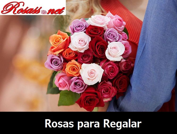Rosas para Regalar