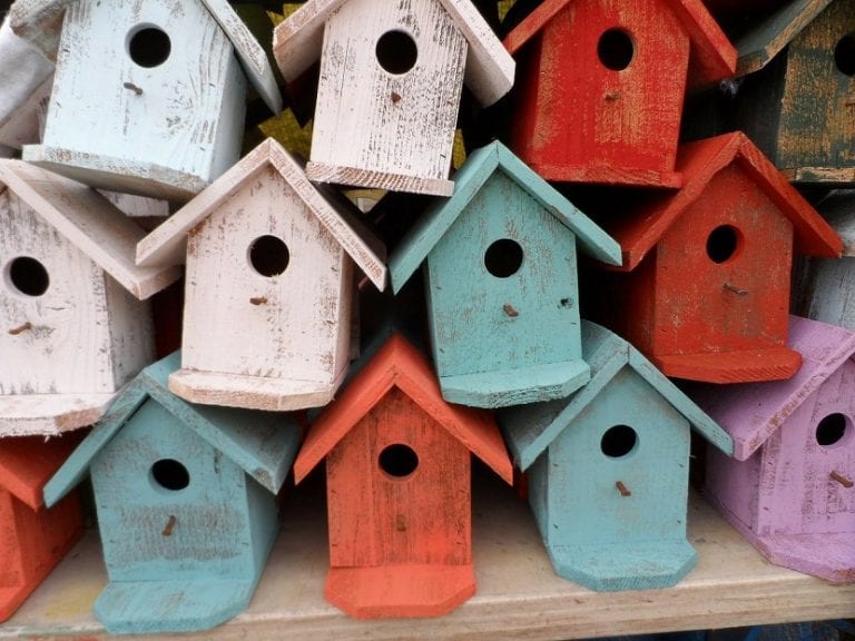 Casas de madera para pájaros colgadas en un jardín