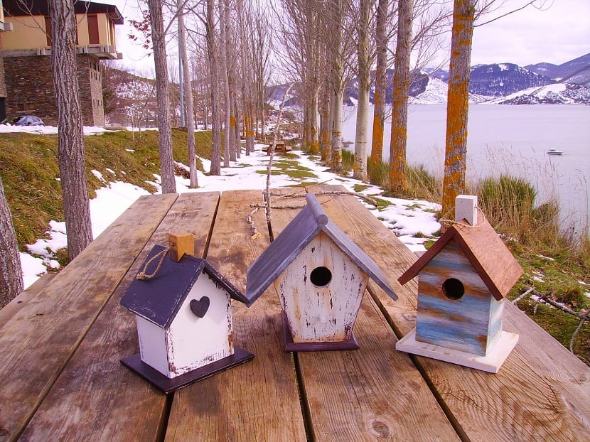 Casas para pájaros: medidas, altura y limpieza