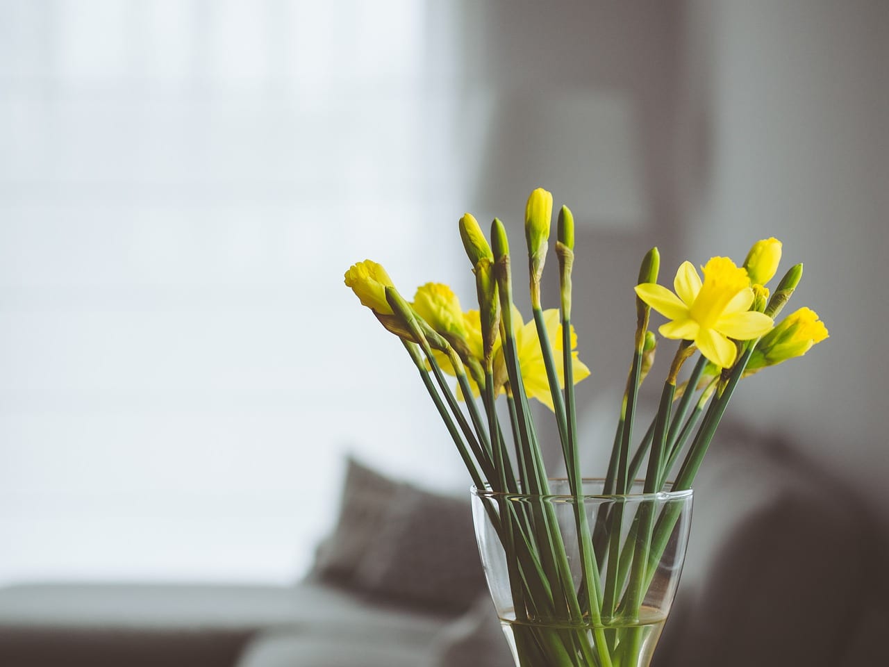 Decorar con jarrones: tipos, flores y colocación