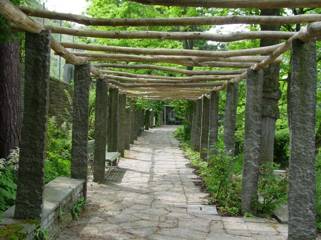 Cómo decorar una pérgola: plantas, sombra y luz