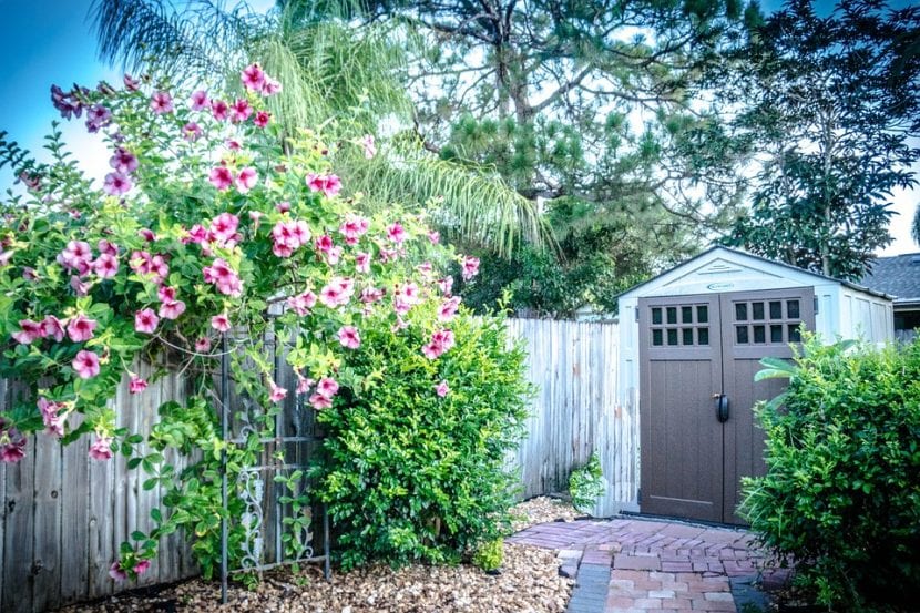 Fachada de casa rústica con vegetación