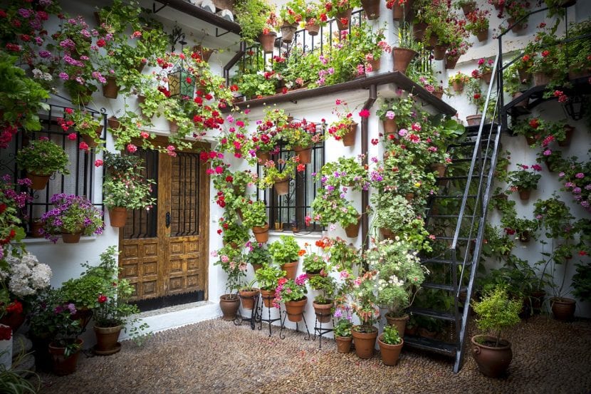 Patio andaluz con paredes encaladas y macetas colgadas