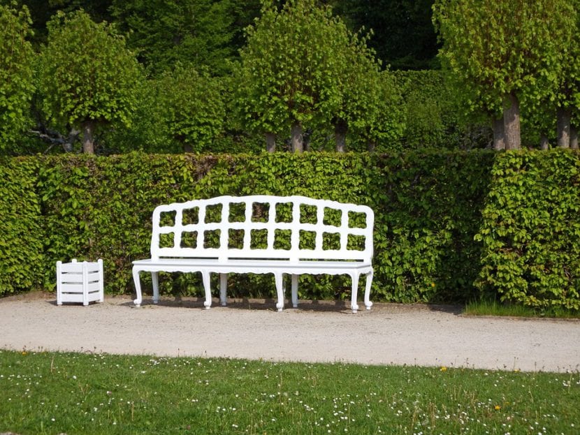 Banco de madera en un jardín