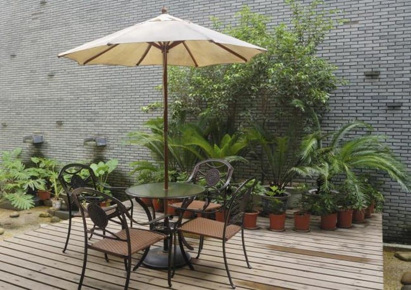 Jardín pequeño con vegetación cubriendo los muros perimetrales