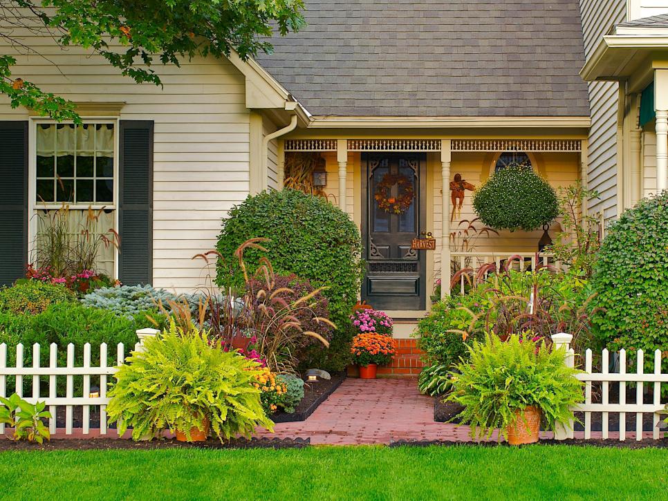 Decorar la entrada de casa con plantas: guía práctica