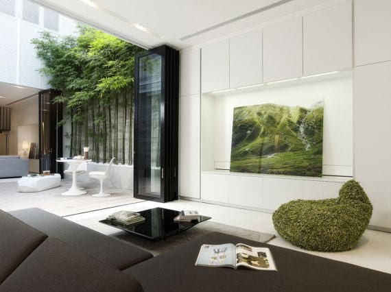 Patio interior con plantas y muros claros
