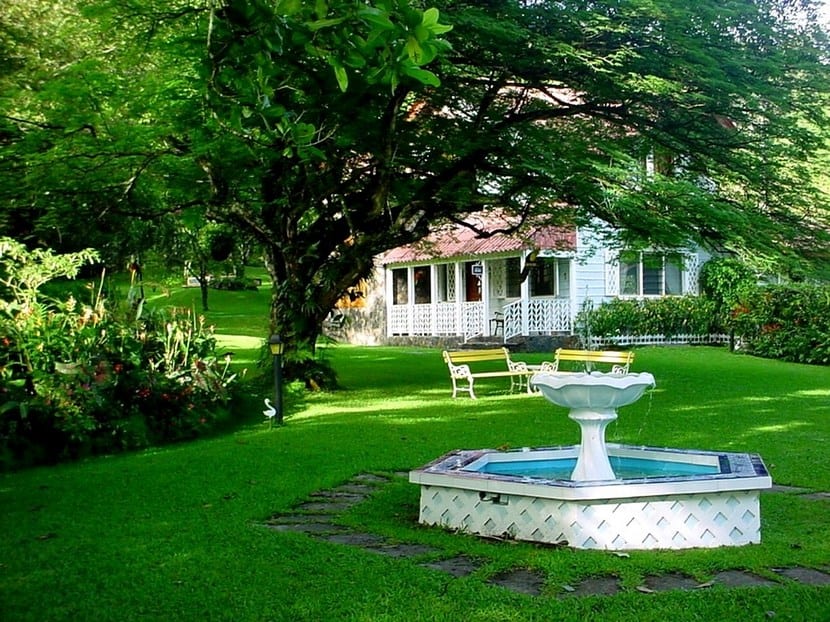 Diseñar un jardín desde cero: guía para principiantes