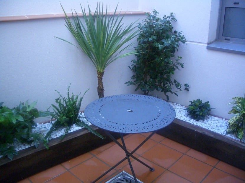 Patio interior decorado con plantas y macetas
