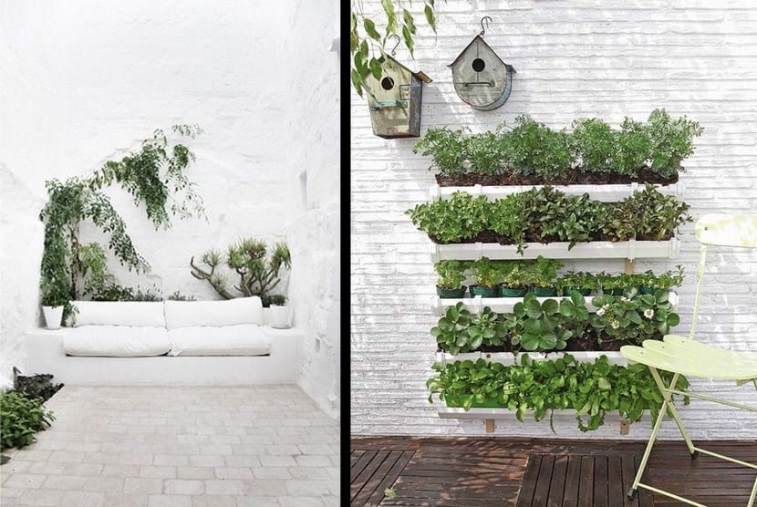 Composición decorativa con plantas de interior en recipientes reciclados