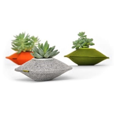 Maceteros de colores para plantas de interior: guia