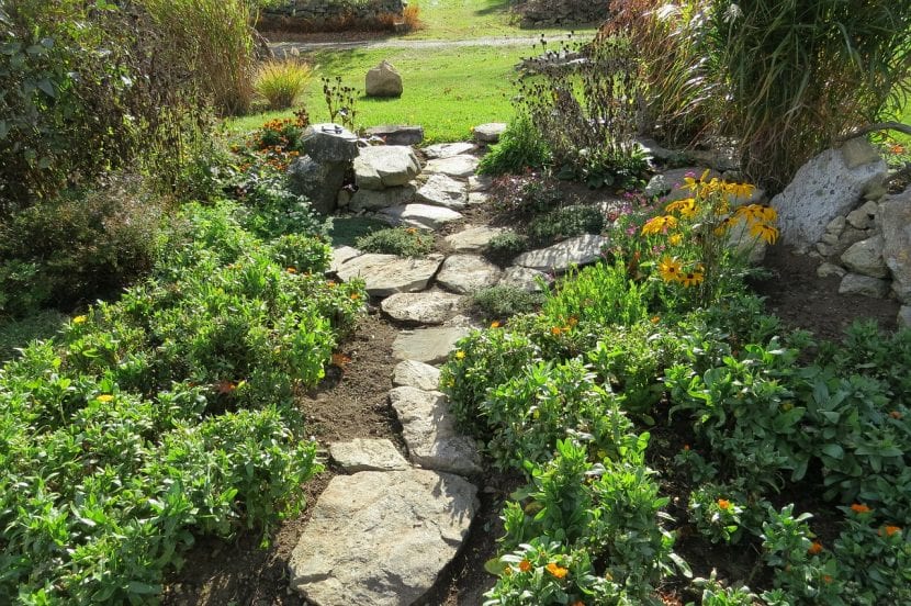 Jardín decorado con piedras y plantas de bajo consumo de agua