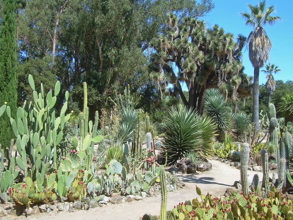 Tipos de jardines: estilos, clima y qué plantar en cada uno