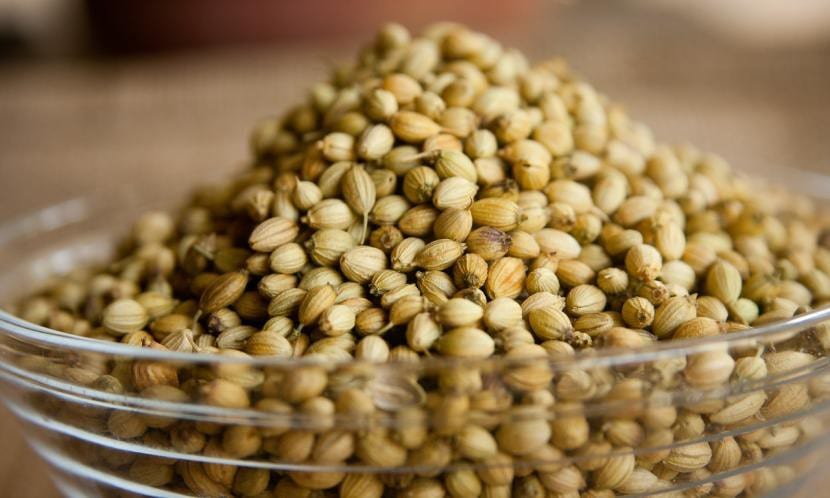 Semillas secas de cilantro o coriandro