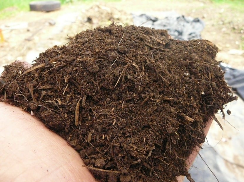 Compost y materia orgánica para abonar