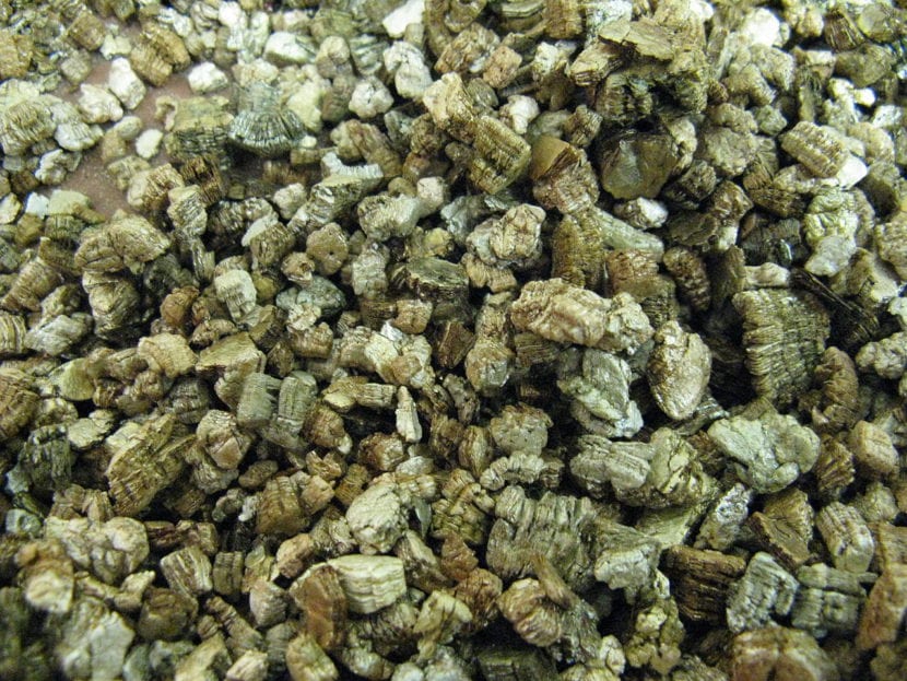 Vermiculita para estratificar bellotas