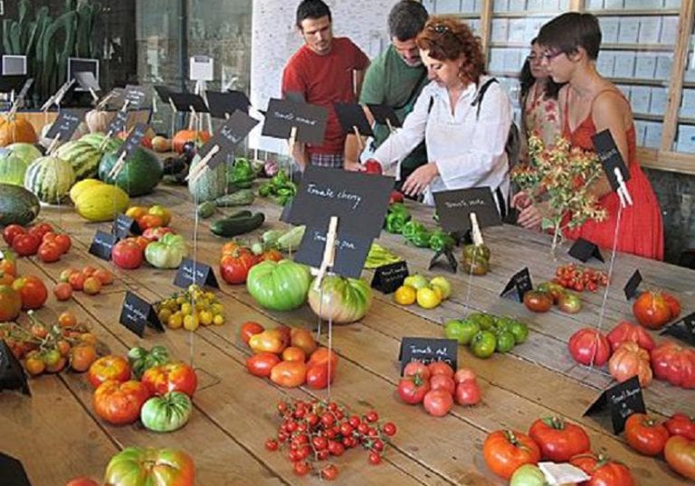 Puesto de semillas ecológicas en una feria de intercambio