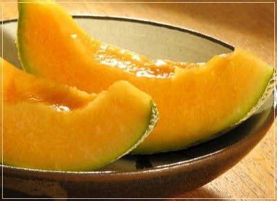 Melón tipo galia maduro en el huerto
