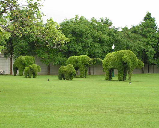 Arte topiario: esculturas verdes