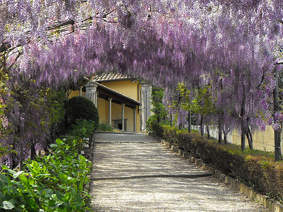 Cuando la pérgola es la estrella