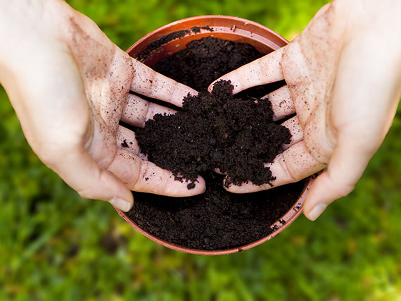 Por qué es importante usar sustratos de calidad