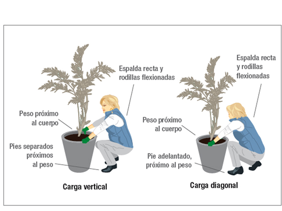 Trabajar en el jardín cuidando la espalda